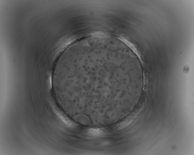 X0000097920061200803141450