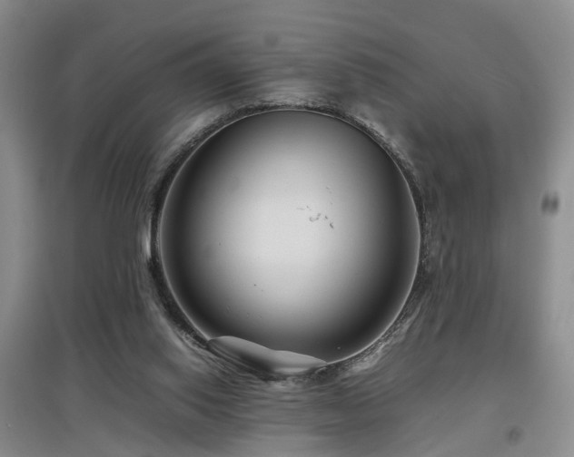 X0000097920062200803141450
