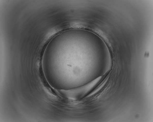 X0000097920063200803141450