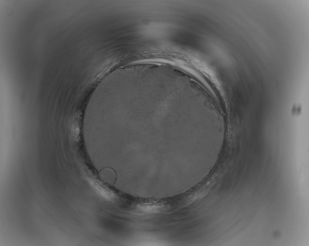 X0000097920065200803141450