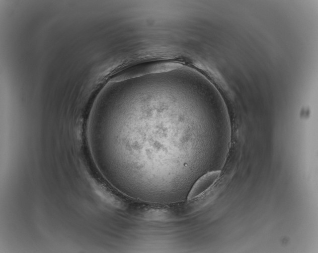 X0000097920066200803141450
