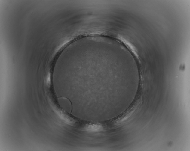 X0000097920067200803141450