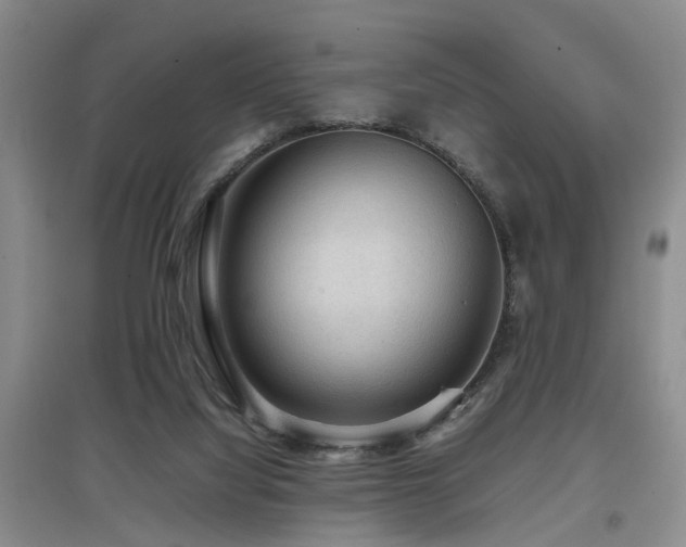 X0000097920068200803141450