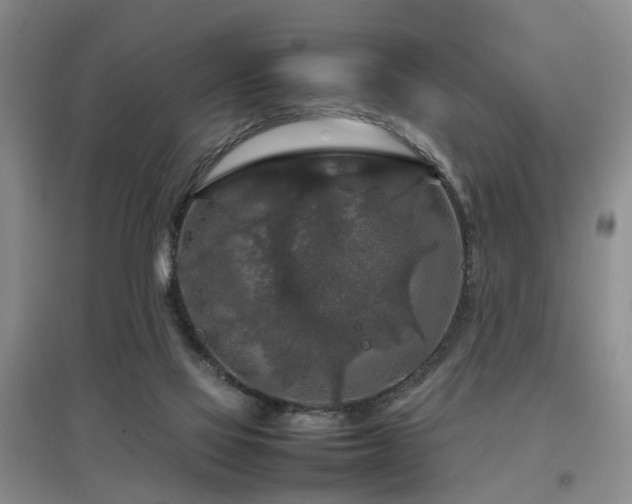 X0000097920069200803141450
