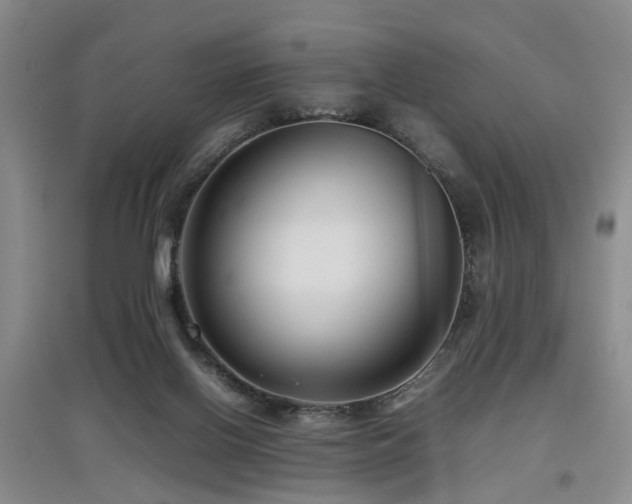 X0000097920070200803141450
