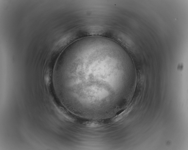 X0000097920074200803141450