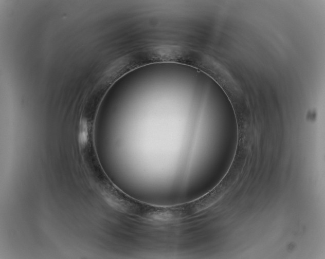 X0000097920075200803141450