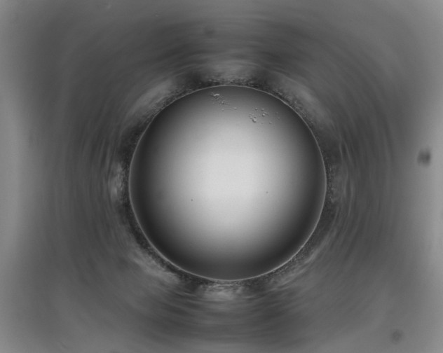X0000097920077200803141450