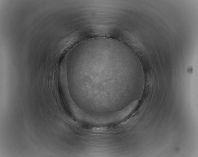 X0000097920080200803141450