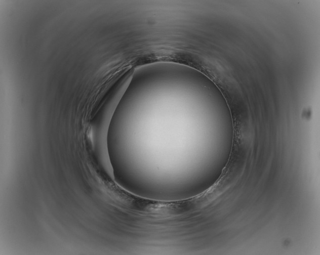 X0000097920082200803141450