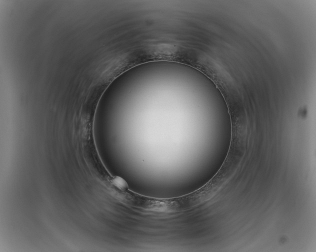 X0000097920083200803141450