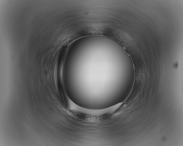 X0000097920084200803141450