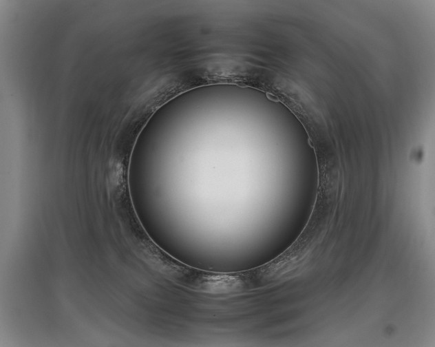 X0000097920087200803141450