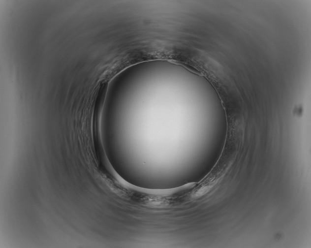 X0000097920088200803141451