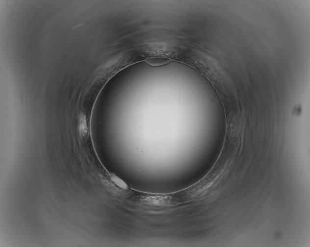 X0000097920089200803141451