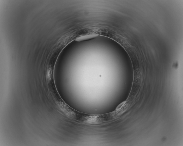 X0000097920090200803141451