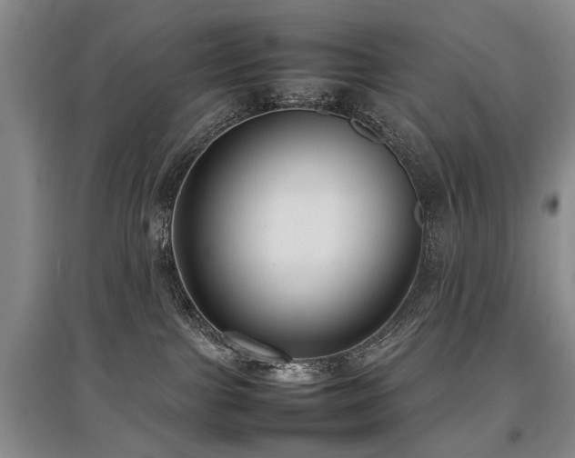 X0000097920091200803141451