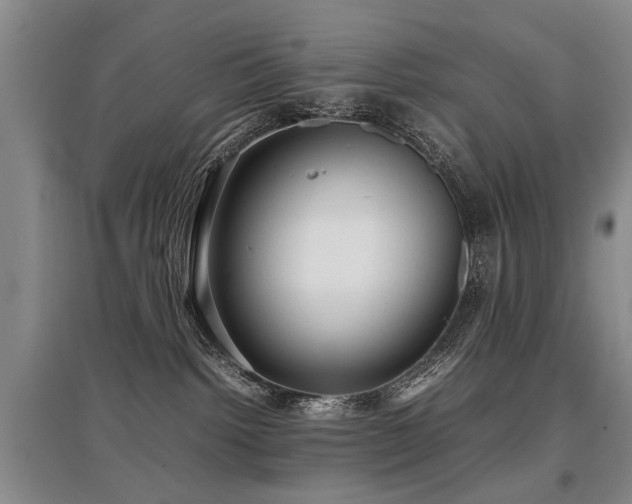 X0000097920092200803141451