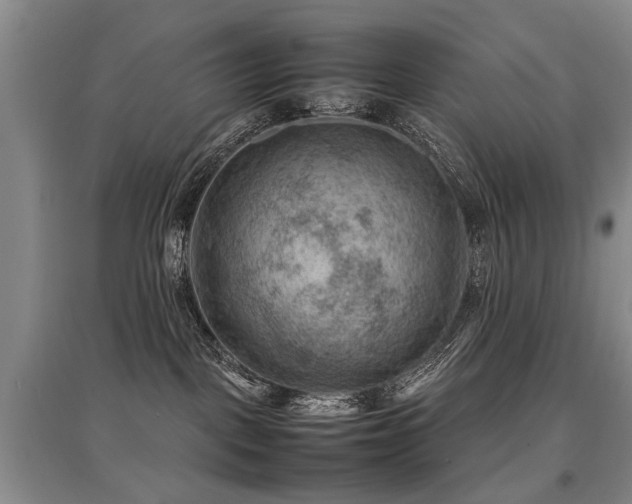 X0000097920093200803141451