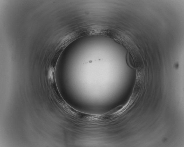 X0000097920094200803141451