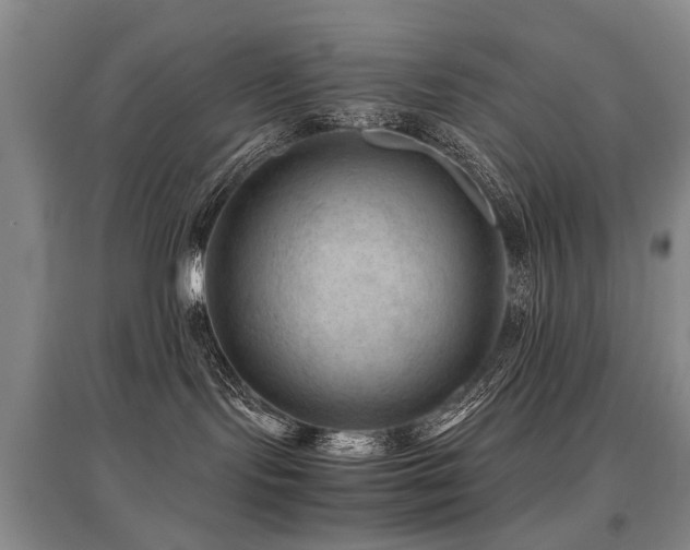 X0000097920095200803141451