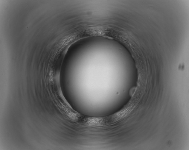 X0000097920096200803141451