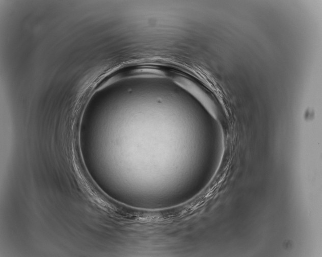 X0000097920097200803141450