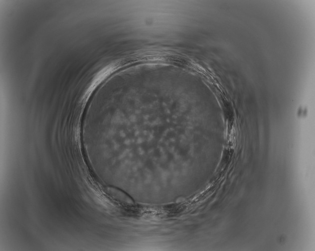 X0000097920099200803141450