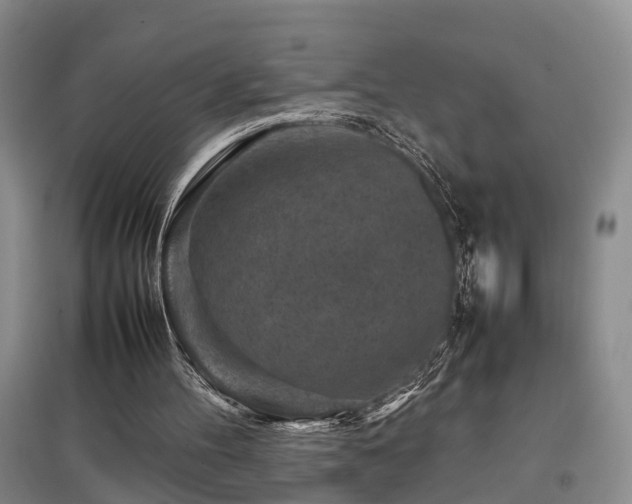 X0000097920100200803141450