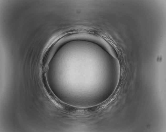 X0000097920101200803141450