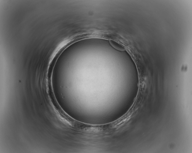 X0000097920102200803141450