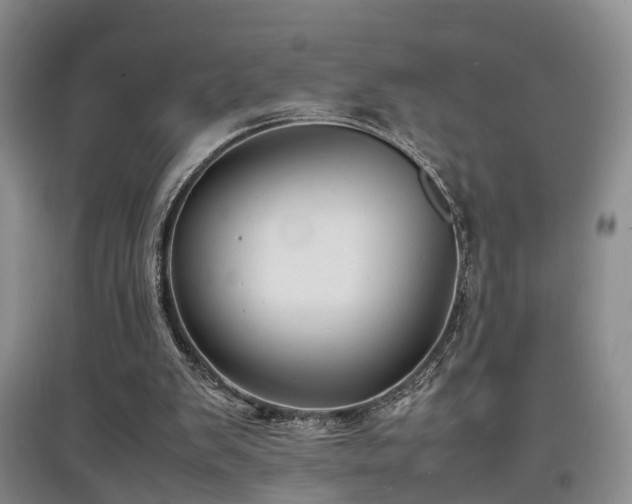 X0000097920103200803141450