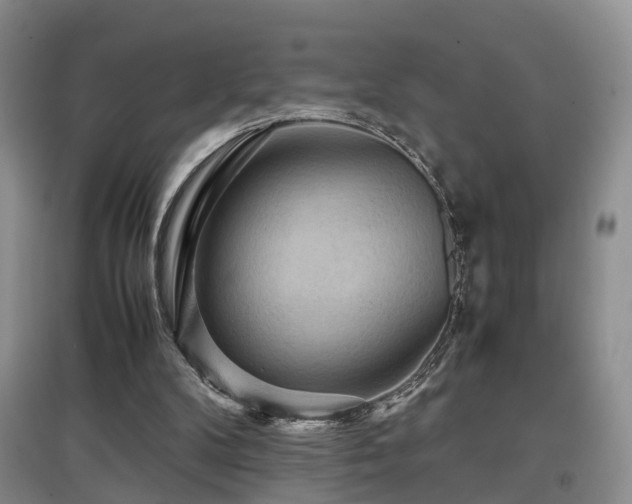 X0000097920104200803141450