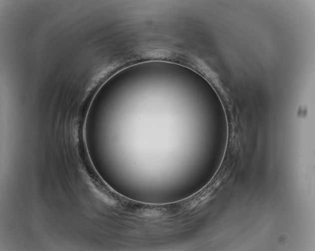 X0000097920106200803141450
