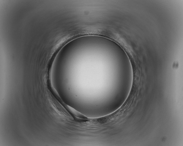 X0000097920107200803141450