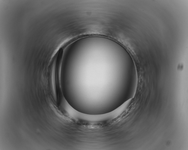 X0000097920108200803141450