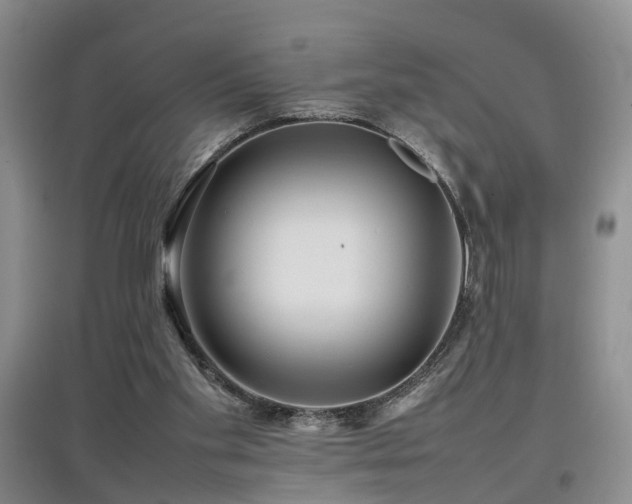 X0000097920109200803141450