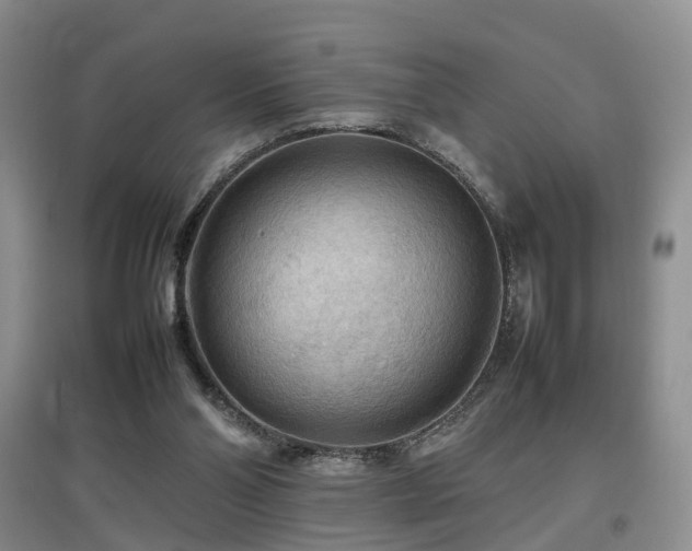 X0000097920110200803141450