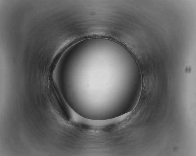 X0000097920112200803141450