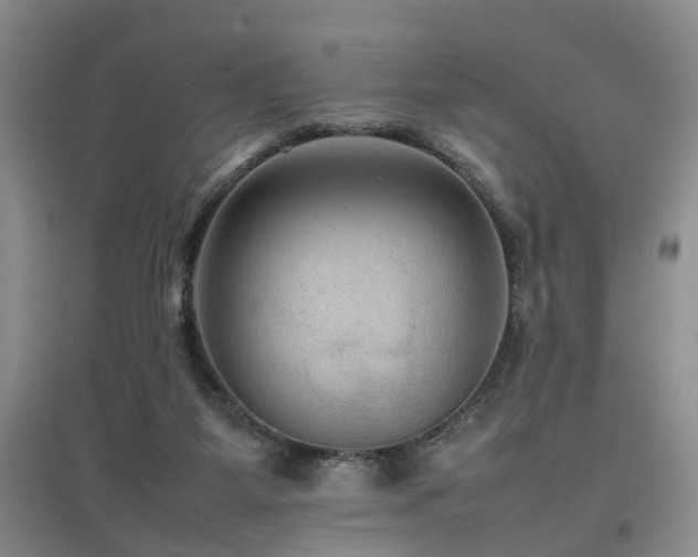 X0000097920115200803141450
