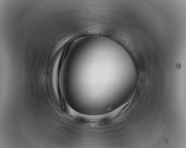 X0000097920116200803141450