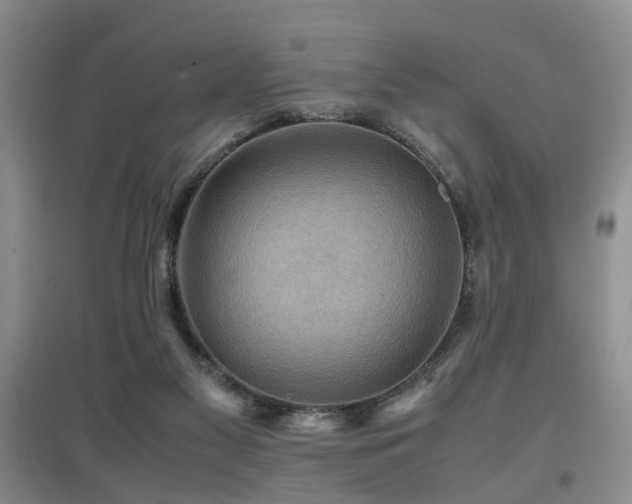 X0000097920117200803141450