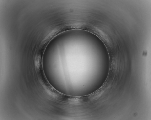 X0000097920118200803141450