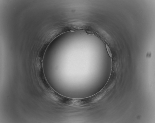 X0000097920121200803141450
