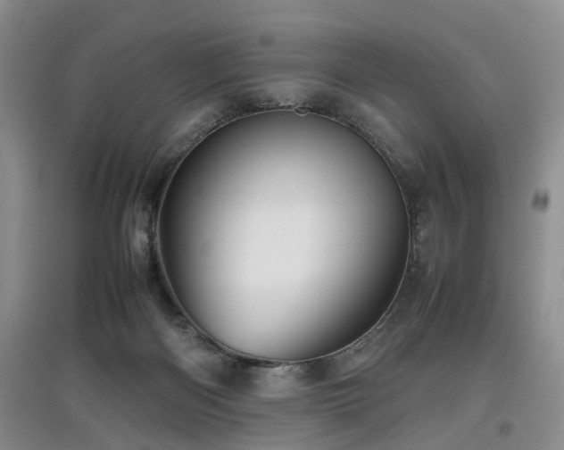 X0000097920122200803141450