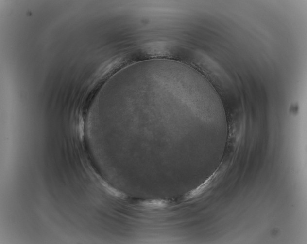 X0000097920124200803141450