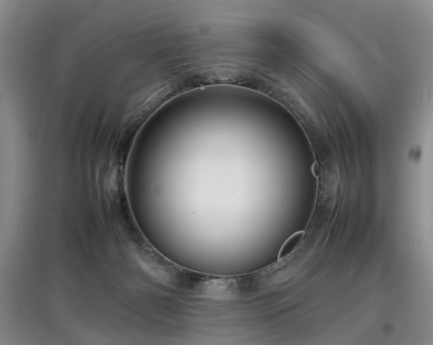 X0000097920126200803141450