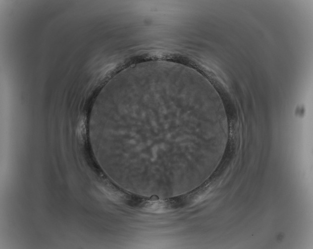 X0000097920127200803141450