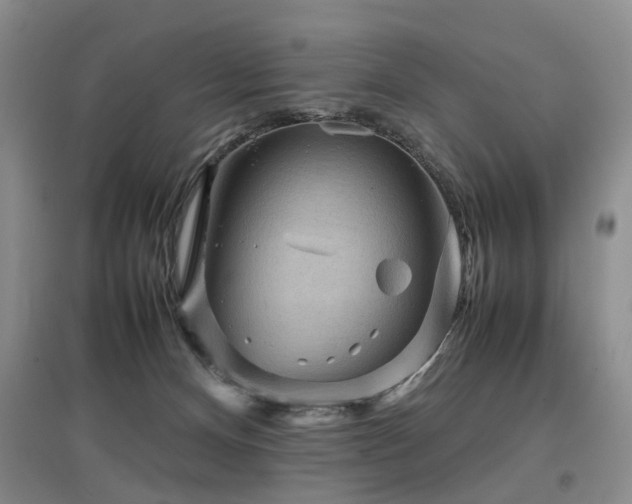 X0000097920128200803141450