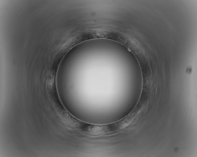 X0000097920129200803141450